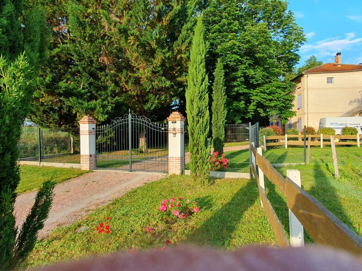 Domaine Christanna Bed & Breakfast Lisle-sur-Tarn Ngoại thất bức ảnh